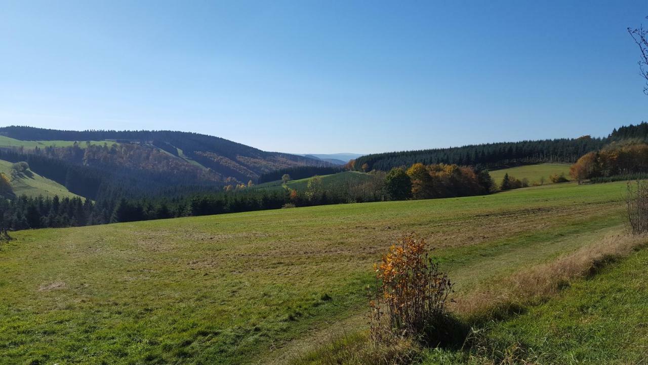 Ferienhaus Bergidylle Winterberg Exterior photo